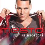 Cover: Ti&euml;sto feat. Cary Brothers - Here On Earth