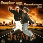 Cover: Hansebanger - Jump (Club Mix)