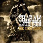 Cover: Sharam - She Came Along