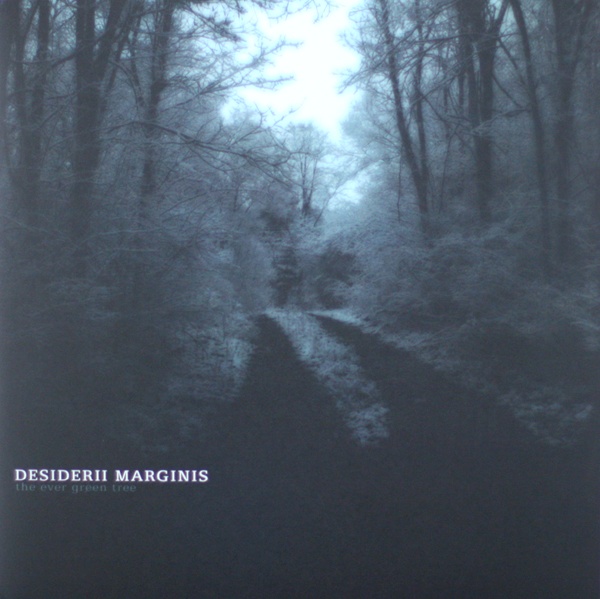 desiderii marginis ever green