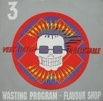 Cover: Wasting Program - You Have Nothing Left But Destruction