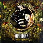 Cover: Ophidian - Lost In The Forest (Furyan Remix)