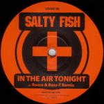 Cover: Phil Collins - In The Air Tonight - In The Air Tonight (Rocco & Bass-T Remix)
