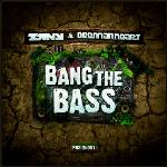 Cover: Zany &amp; Brennan Heart - Bang The Bass