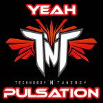 Cover: TNT - Pulsation