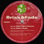 Cover: Brisk & Fade - Stay Here Forever