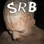 Cover: SRB - Everything Is Fucked