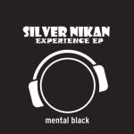 Cover: Silver Nikan - Experience (Extended Mix)