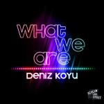 Cover: Deniz Koyu - What We Are