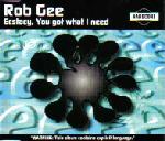 Cover: Rob Gee - Ecstasy, You Got What I Need