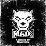 Cover: DJ Mad - Don't Fuck Around