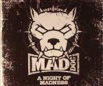 Cover: DJ Mad - A Night of Madness