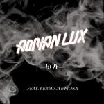 Cover: LUX - Boy (Hardwell Remix)