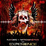 Cover: Rayden - The Experience