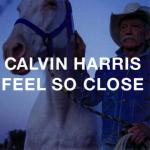 Cover: Calvin Harris - Feel So Close (Extended Mix)