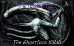 Cover: Ghostface Killah - Daytona 500 - Ghostface Killah