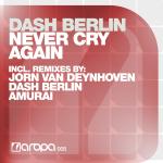 Cover: Dash Berlin - Never Cry Again (Original Vocal Mix)