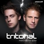 Cover: Tritonal Feat. Jenry R - Something New