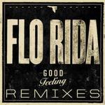 Cover: Etta James - Something's Got a Hold On Me - Good Feeling (Hook N Sling Remix)