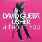 Cover: David Guetta - Without You (Original Version)