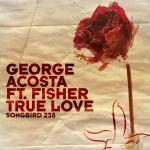Cover: George Acosta Feat. Fisher - True Love (Radio Edit)