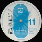 Cover: Styles - You're Shining