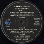 Cover: Critical Mass - Burnin Love