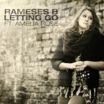 Cover: Amelia Rose - Letting Go