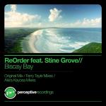 Cover:  - Biscay Bay (Ferry Tayle 'Neverending Story' Remix)