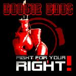 Cover: Boogie Bros - Fight for Your Right (RainDropz! Bootleg Remix)