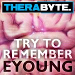 Cover: Eyoung - Try To Remember