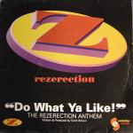 Cover:  - Do What Ya Like! (Scott Brown Remix)