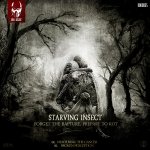Cover: Starving Insect - Broken Perception