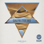 Cover: Calyx &amp; TeeBee Feat. Kemo - Pure Gold