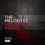 Cover: The Melodyst - From The Void