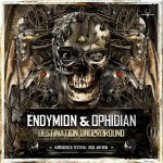 Cover: Endymion &amp; Ophidian - Destination Underground (Hardshock Festival 2013 Anthem)