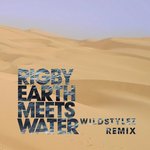 Cover:  - Earth Meets Water (Wildstylez Remix)