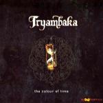 Cover: Tryambaka - I Saw Your Saw