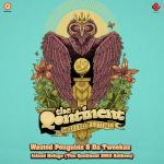 Cover: Wasted Penguinz &amp; Da Tweekaz - Island Refuge (The Qontinent 2013 Anthem)