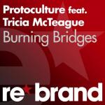 Cover: Tricia McTeague - Burning Bridges