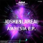 Cover: Lareau - Amnesia