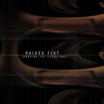 Cover: Raised Fist - Different But The Same