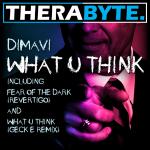 Cover: Dimavi - Fear Of The Dark (Revertigo)