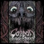 Cover: Caliban - 24 Years