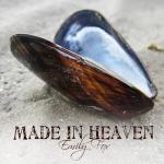 Cover: Emily - Made In Heaven