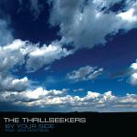 Cover: The Thrillseekers - By Your Side