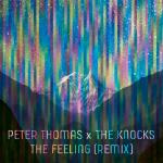 Cover: The Knocks - The Feeling (Peter Thomas Remix)