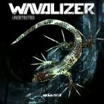Cover: Wavolizer - Democracy
