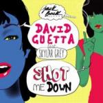 Cover: David Guetta - Shot Me Down