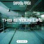 Cover: Psyko Punkz feat. Chris Willis & MC Lyte - This Is Your Life